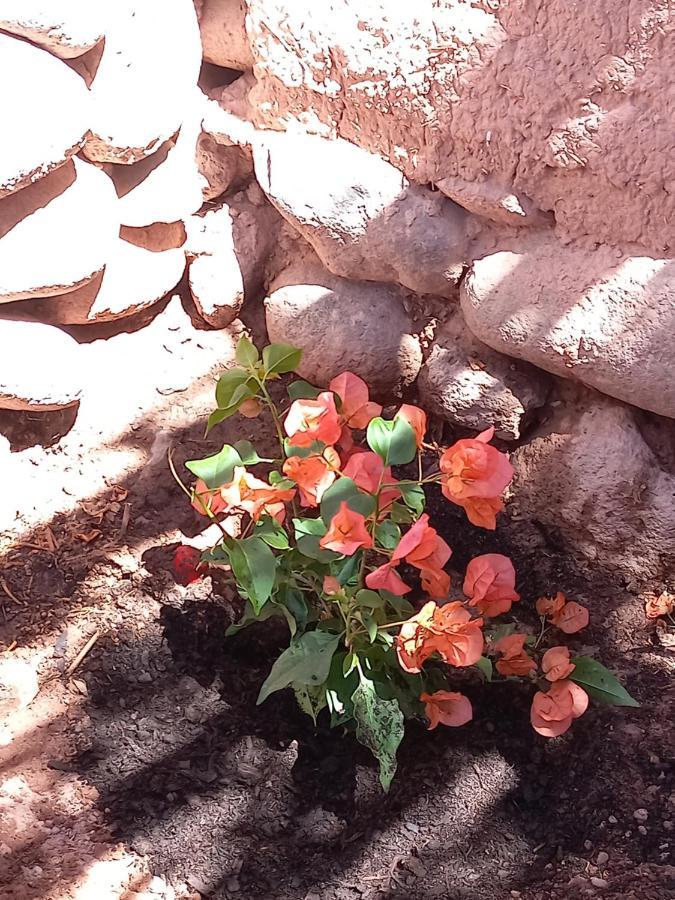 Hotel Casa Buenavista San Pedro De Atacama Zewnętrze zdjęcie